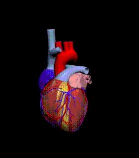 Rotaatin Heart